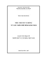Tiểu thuyết Vi Hồng từ góc nhìn phê bình sinh thái (LV thạc sĩ)
