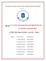 Các yếu tố ảnh hưởng đến quyết định đi siêu thị co op mart của khách hàng