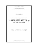 Nghiên cứu các đặc trưng cấu trúc và tính chất của vật liệu sắt  Maltodextrin (LV thạc sĩ)
