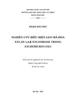 Khóa luận biểu hiện β xylosidase