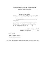 MẪU GIẤY CHỨNG NHẬN Trường học an toàn phòng chống tai nạn thương tích