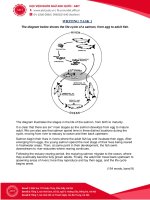 30 bài mẫu writing band 9 của thầy simon 2017