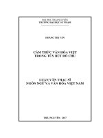 Cảm thức văn hóa Việt trong tùy bút Đỗ Chu (LV thạc sĩ)