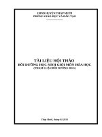 THAM LUẬN BỒI DƯỠNG học sinh giỏi môn Hóa học cực hay