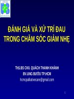 ĐÁNH GIÁ VÀ XỬ TRÍ ĐAU TRONG CHĂM SÓC GIẢM NHẸ