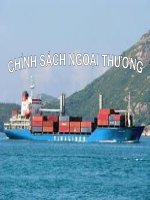 BÀI GIẢNG điện tử KINH tế CHÍNH TRỊ   CHÍNH SÁCH NGOẠI THƯƠNG VIỆT NAM   CHUYÊN đề SAU đại học