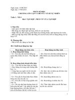 Giáo án vnen toán 6 phần số học hay, lo gic, chi tiết