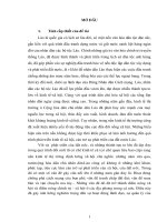 Tiểu luận môn phương pháp tiếp cận và xử lý tỉnh huống chính trị xử lý điểm nóng chính trị –xã hội ở tỉnh bo kẹo nước cộng hòa dân chủ nhân dân lào tiểu luận cao học