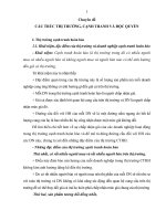 BÀI GIẢNG KINH tế CHÍNH TRỊ   CHUYÊN đề KINH tế VI mô, cấu TRÚC THỊ TRƯỜNG, CẠNH TRANH và độc QUYỀN