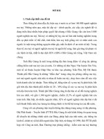 NÂNG CAO HIỆU QUẢ TUYÊN TRUYỀN PHÒNG, CHỐNG MA TUÝ TRÊN SÓNG TRUYỀN HÌNH bắc GIANG tiểu luận cao học