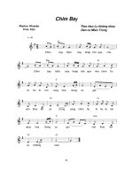 Lời bài hát chim bay