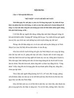 TIỂU LUẬN bài phóng sự điều TRA