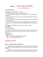 Soạn bài Bài ca ngất ngưỡng