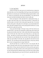 MÔ HÌNH CHÍNH QUYỀN đô THỊ ở một số nước TRÊN THẾ GIỚI và NHỮNG gợi mở CHO VIỆT NAM  TIỂU LUẬN CAO HỌC