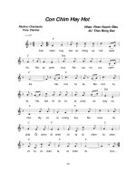 Lời bài hát Con chim hay hót