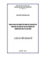 Hành vi mua của người tiêu dùng Việt Nam đối với hàng hóa lâu bền giá trị cao Nghiên cứu trường hợp mua ô tô gia đình