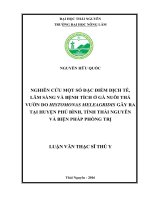 Nghiên cứu một số đặc điểm dịch tễ, lâm sàng và bệnh tích ở gà nuôi thả vườn do histomonas meleagridis gây ra tại huyện phú bình, tỉnh thái nguyên và biện pháp phòng trị 