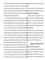 Đánh giá kết quả điều trị gãy hở độ IIIA thân xương dài chi trên bằng kết hợp xương nẹp vít thì đầu (tt) 