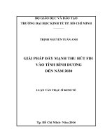 Giải pháp đẩy mạnh thu hút FDI vào tỉnh bình dương đến năm 2020 