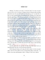 Tác động của tín dụng vi mô đến thu nhập và chi tiêu của người nghèo tại tỉnh trà vinh (tt) 