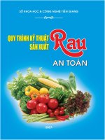 Quy trình kỹ thuật sản xuất rau an toàn