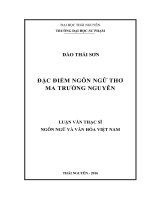 Đặc điểm ngôn ngữ thơ ma trường nguyên 
