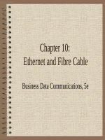 Business data communications 5e by stallings chapter 10 