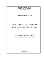 Quản lý nhân lực tại công ty TNHH mạng tầm nhìn việt nam
