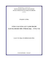 Nâng cao năng lực cạnh tranh cụm ngành hồ tiêu tỉnh bà rịa – vũng tàu 