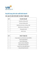 Tài sản thế chấp và công ty định+giá