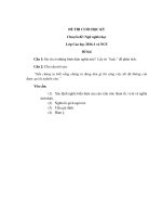 DE THI CUOI KY NGU NGHIA HOC