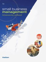 Small business management entrepreneurship and beyond 5e by hatten 