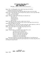 De thi hoc sinh gioi lop 5 mon Tieng Viet