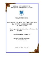 Các yếu tố tạo động lực cho giảng viên tại Trường đại học Kinh tế TP. Hồ Chí Minh