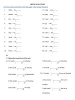 Thì hiện tại đơn phần 2