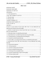 Kế toán tiêu thụ và xác định kết quả kinh doanh tại công ty cổ phần sơn thành 