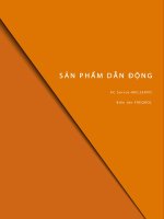 S ả n PH ẩ m d ẫ n ĐỘNG 