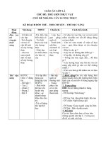 Giáo án lớp lá chủ đề cây lương thực 