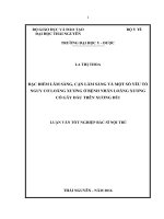 Đặc điểm lâm sàng, cận lâm sàng và một số yếu tố nguy cơ loãng xương ở bệnh nhân loãng xương có gãy đầu trên xương đùi 