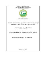 Nghiên cứu sử dụng một số thuốc trừ sâu thảo mộc trong phòng trừ sâu hại rau cải bắp tại hà giang 