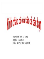 Bài thuyết trình Ngài hại quả (2)