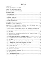 Thực trạng công tác kế toán tiêu thụ và xác định kết quả kinh doanh ở công ty cổ phần cosevco lê hoá 