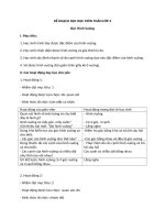 Giáo án Hình Vuông  Hình Chữ Nhật