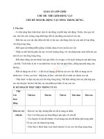 Giáo án lớp chồi tuần 19 chủ đề động vật sống trong rừng 