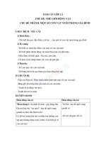 Giáo án lớp lá chủ đề thế giới động vật 