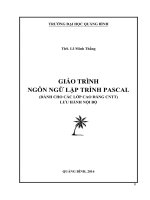 Giáo trình ngôn ngữ lập trình pascal 
