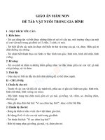 Giáo án lớp chồi chủ đề thế giới động vật 