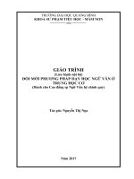 Giáo trình đổi mới phương pháp dạy học ngữ văn ở trung học cơ sở 