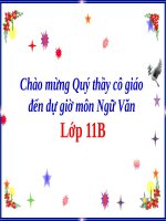 Bài giảng ngữ văn : Người trong bao