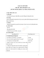 Giáo án lớp chồi tuần 20 chủ đề động vật sống ở dưới nước 